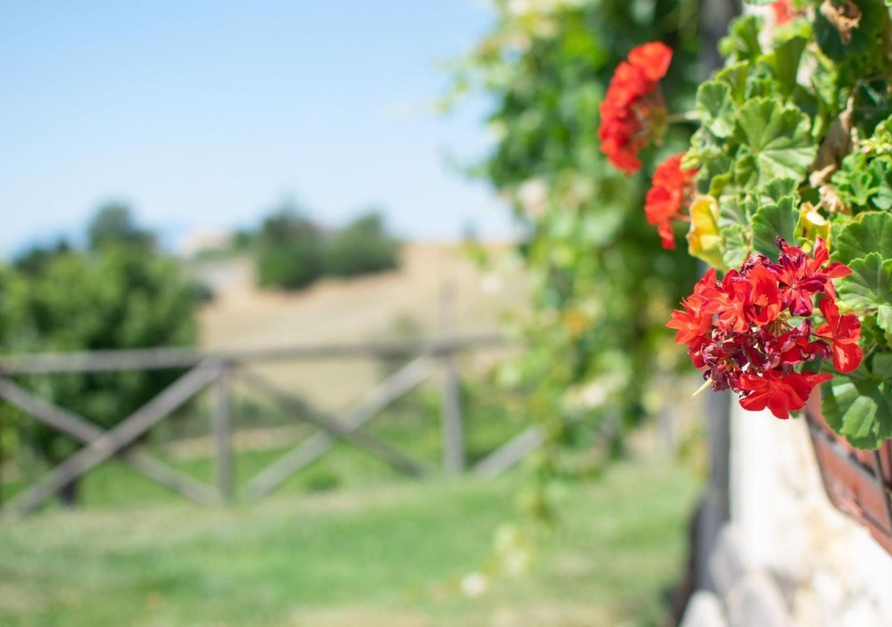 Agriturismo Torre Gialluise Gesualdo Ngoại thất bức ảnh