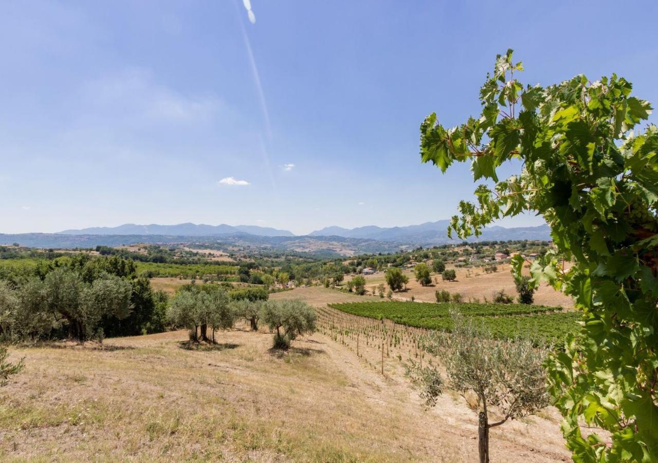 Agriturismo Torre Gialluise Gesualdo Ngoại thất bức ảnh