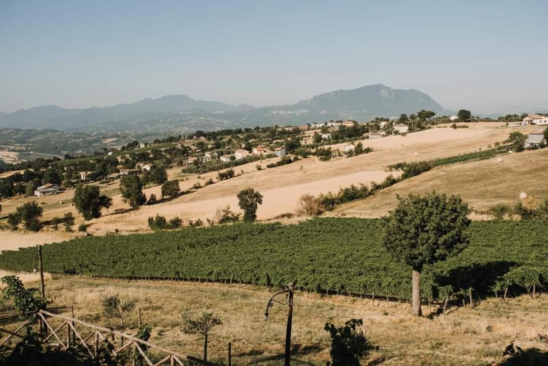 Agriturismo Torre Gialluise Gesualdo Ngoại thất bức ảnh
